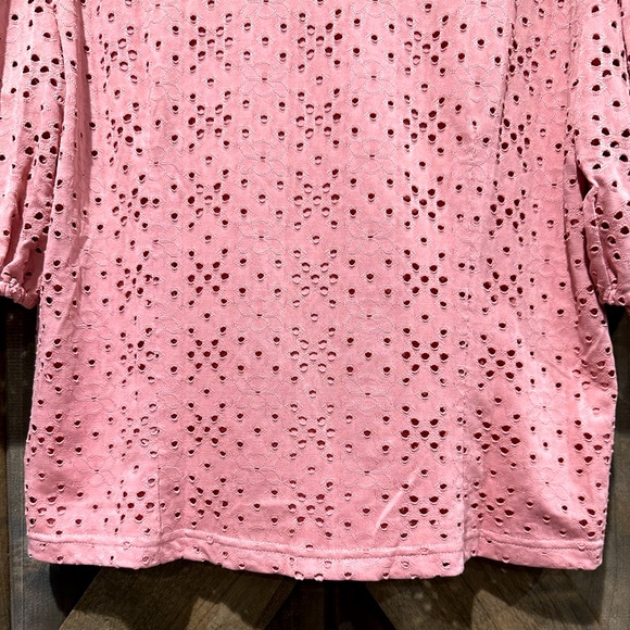 NWOT The Shirt Brand Pink Short Sleeve V-Neck Blouse - Picture 5 of 16